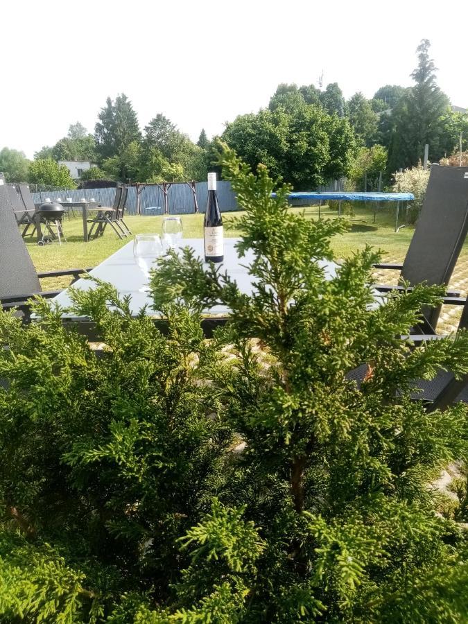Apartmany Kohoutek A Slepicka V Novohradskych Horach Nové Hrady Exterior photo